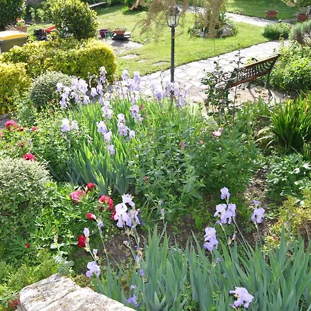 La Maison Du De Conde