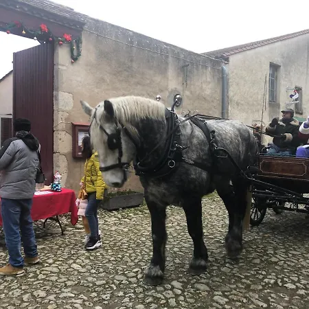 Pensión La Maison Du De Condé Charroux-dʼAllier