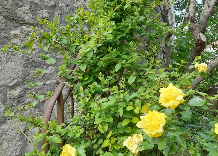 La Maison Du De Conde Charroux-d'Allier