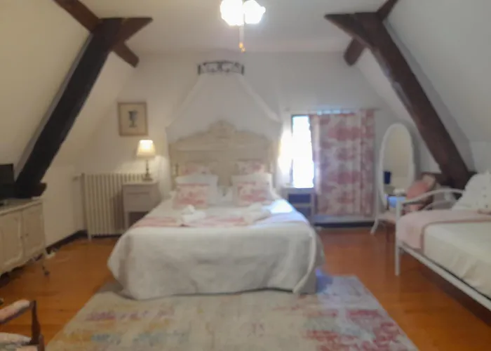 La Maison Du De Conde 4*